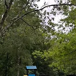 Rural Elena 2*