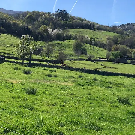 Rural Elena 2*